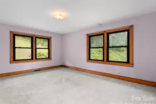 21 Beaverdam Rd, Canton, NC 28716 - Photo 16