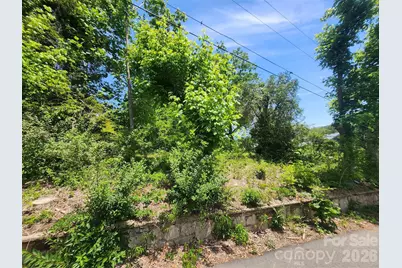 11 Weaver Hill Road, Asheville, NC 28805 - Photo 4