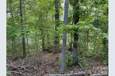 53 Will Road #2, Hendersonville, NC 28792 - Photo 6
