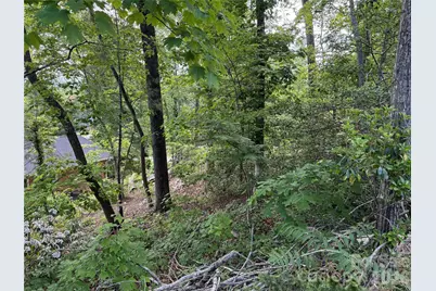 53 Will Road #2, Hendersonville, NC 28792 - Photo 4