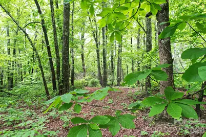 215 Laurel Mountain Trail #10, Black Mountain, NC 28711 - Photo 16
