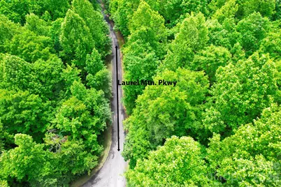215 Laurel Mountain Trail #10, Black Mountain, NC 28711 - Photo 10