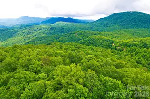 215 Laurel Mountain Trl, Black Mountain, NC 28711 - Photo 1