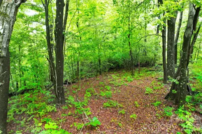 215 Laurel Mountain Trail #10, Black Mountain, NC 28711 - Photo 14