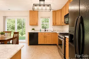 7638 Black Hawk Ln, Tega Cay, SC 29708 - Photo 18