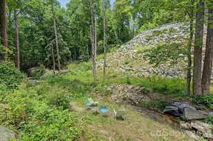 878 Garren Creek Rd, Fairview, NC 28730 - Photo 44
