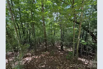 Tbd Warren Way #132A, Purlear, NC 28665 - Photo 2