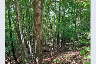 Tbd Warren Way #132A, Purlear, NC 28665 - Photo 6