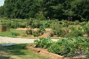 36 Water Thrush Rd, Lake Wylie, SC 29710 - Photo 46
