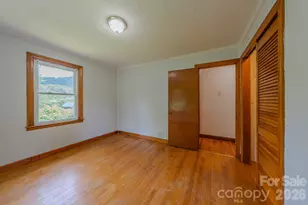 456 Lower Grassy Branch Rd, Asheville, NC 28805 - Photo 32