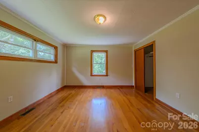 456 Lower Grassy Branch Road, Asheville, NC 28805 - Photo 28