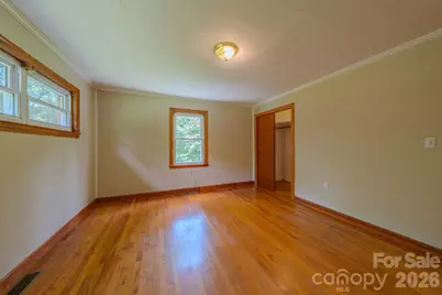 456 Lower Grassy Branch Road, Asheville, NC 28805 - Photo 26