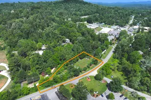 99999 Old Weaverville Rd, Asheville, NC 28804 - Photo 1
