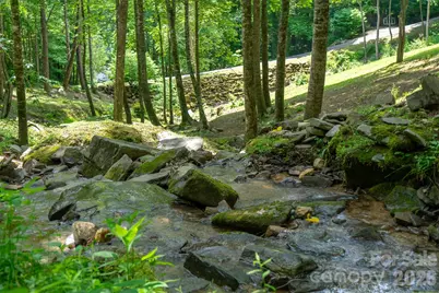 77 Pigeon Creek Trail, Bryson City, NC 28713 - Photo 4