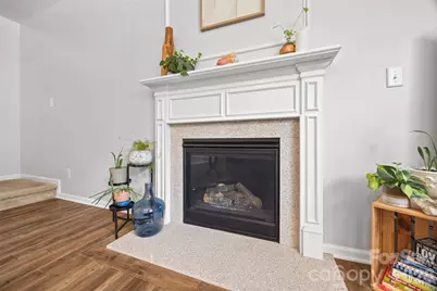 913 Vogel Way, Fort Mill, SC 29715 - Photo 22