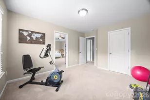 913 Vogel Way, Fort Mill, SC 29715 - Photo 36