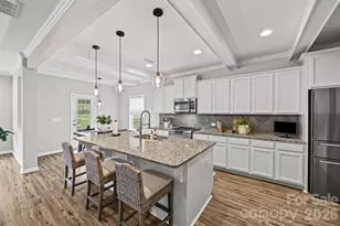 3703 Jacinta Ct, Tega Cay, SC 29708 - Photo 8