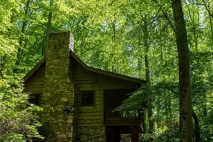 152 Middle Creek Cove, Burnsville, NC 28714 - Photo 46