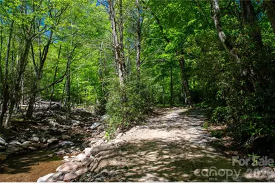 152 Middle Creek Cove, Burnsville, NC 28714 - Photo 2