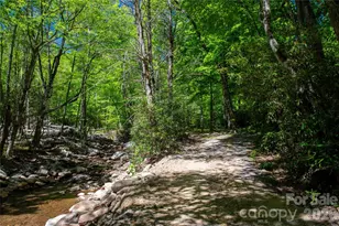 152 Middle Creek Cove, Burnsville, NC 28714 - Photo 2