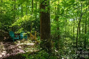 152 Middle Creek Cove, Burnsville, NC 28714 - Photo 40