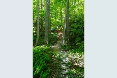152 Middle Creek Cove, Burnsville, NC 28714 - Photo 4