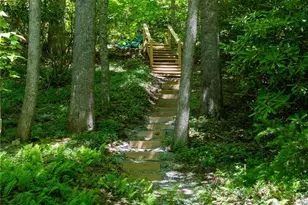 152 Middle Creek Cove, Burnsville, NC 28714 - Photo 4
