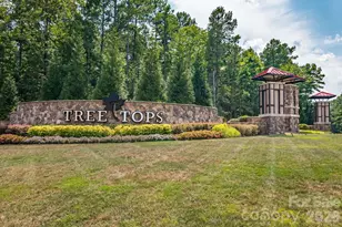 1688 Tranquility Blvd, Lancaster, SC 29720 - Photo 34