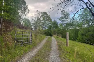 1239 W McGuinn Rd, Mill Spring, NC 28756 - Photo 10