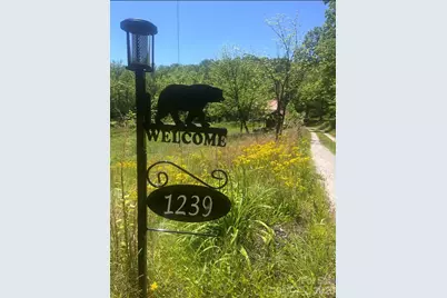 1239 W McGuinn Road, Mill Spring, NC 28756 - Photo 1