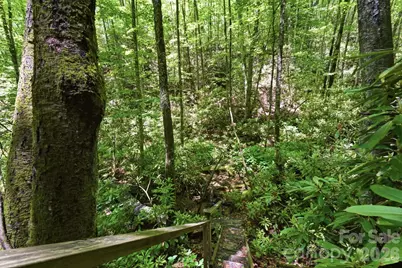311 Copper Spur Drive, Maggie Valley, NC 28751 - Photo 42
