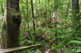 311 Copper Spur Dr, Maggie Valley, NC 28751 - Photo 42