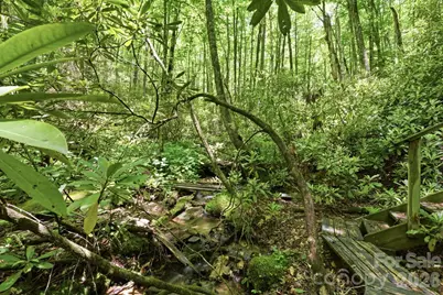 311 Copper Spur Drive, Maggie Valley, NC 28751 - Photo 44