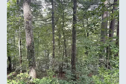 000 Toms Park Circle #66, Hendersonville, NC 28792 - Photo 2