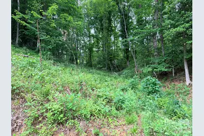 Tbd N Marley Ford Road, Ferguson, NC 28624 - Photo 2