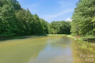 20528 Harbor View Dr, Cornelius, NC 28031 - Photo 44