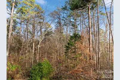 0000 Sandy Ford Road, Mount Holly, NC 28120 - Photo 10