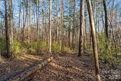 0000 Sandy Ford Road, Mount Holly, NC 28120 - Photo 12