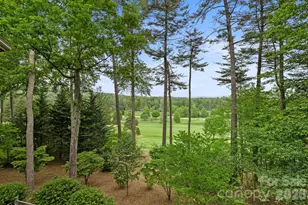 209 Pineholt Ln, Flat Rock, NC 28731 - Photo 6