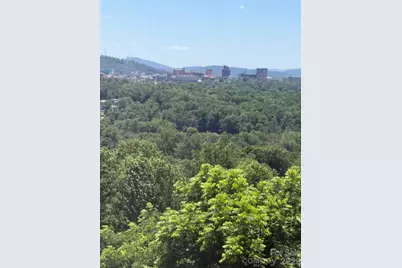 38 Lookout Road, Asheville, NC 28804 - Photo 6
