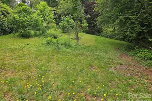 610 Emmas Grove Rd, Fletcher, NC 28732 - Photo 2