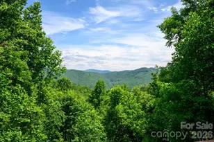 1299 Pine Ridge Rd, Burnsville, NC 28714 - Photo 20