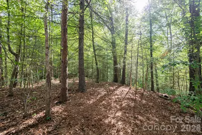 34 Wintercrest Drive, Candler, NC 28715 - Photo 10