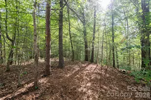 34 Wintercrest Dr, Candler, NC 28715 - Photo 10