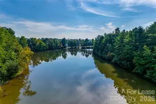 1668 Beleek Ridge Lane, Clover, SC 29710 - Photo 42