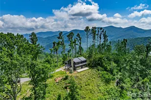 41 Windy Ridge Trail, Asheville, NC 28804 - Photo 2