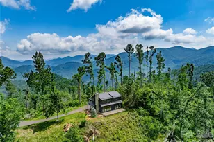 41 Windy Ridge Trail, Asheville, NC 28804 - Photo 36