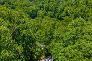 168 Grizzly Ridge, Sylva, NC 28779 - Photo 40