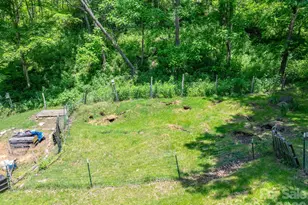 295 Richmond Rd, Bakersville, NC 28705 - Photo 22