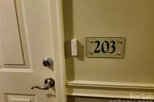 155 S Lexington Ave, Asheville, NC 28801 - Photo 14